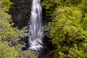 The Black Spout